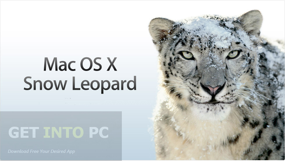 Installed snow leopard dmg